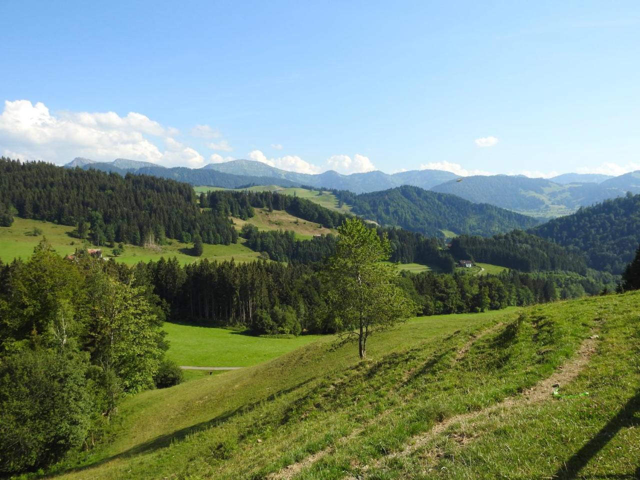 Ferienwohnungen Am Schlossberg Oberstaufen Kültér fotó